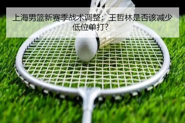 上海男篮新赛季战术调整：王哲林是否该减少低位单打？