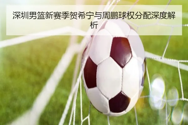 深圳男篮新赛季贺希宁与周鹏球权分配深度解析
