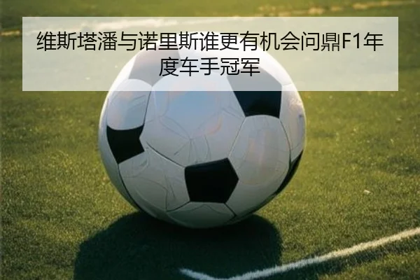 维斯塔潘与诺里斯谁更有机会问鼎F1年度车手冠军